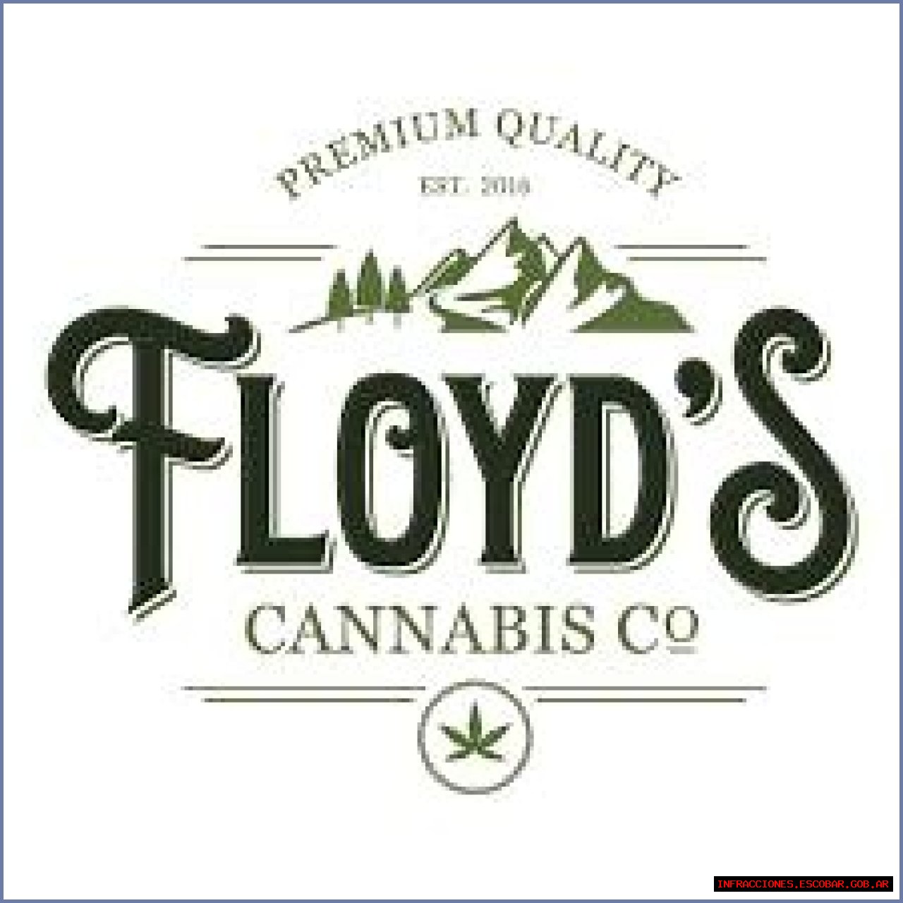 Floyd's Mt Vernon: Your Gateway To Authentic American Cuisine