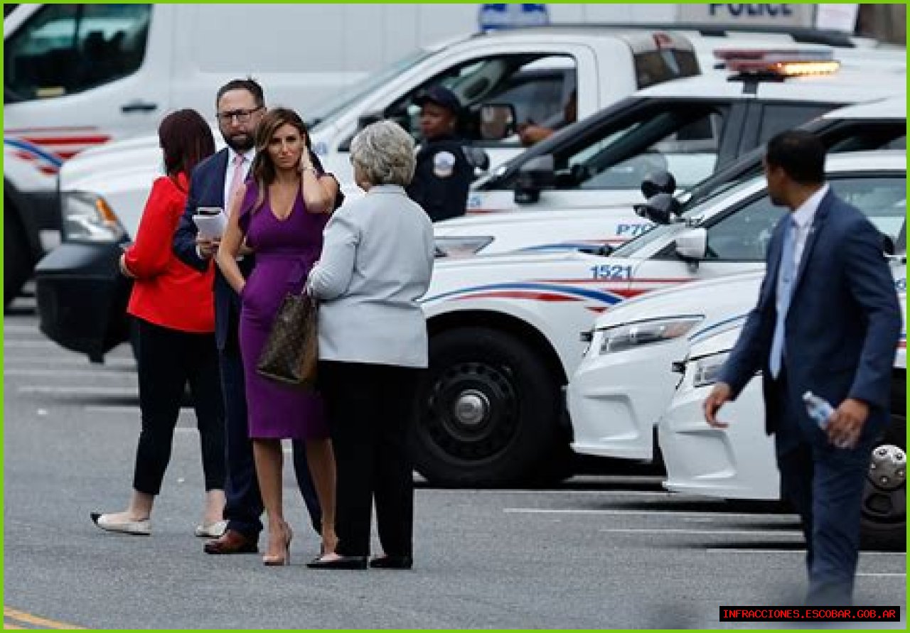 Unveiling The Personal Life Of Alina Habba: Her Husband And Kids